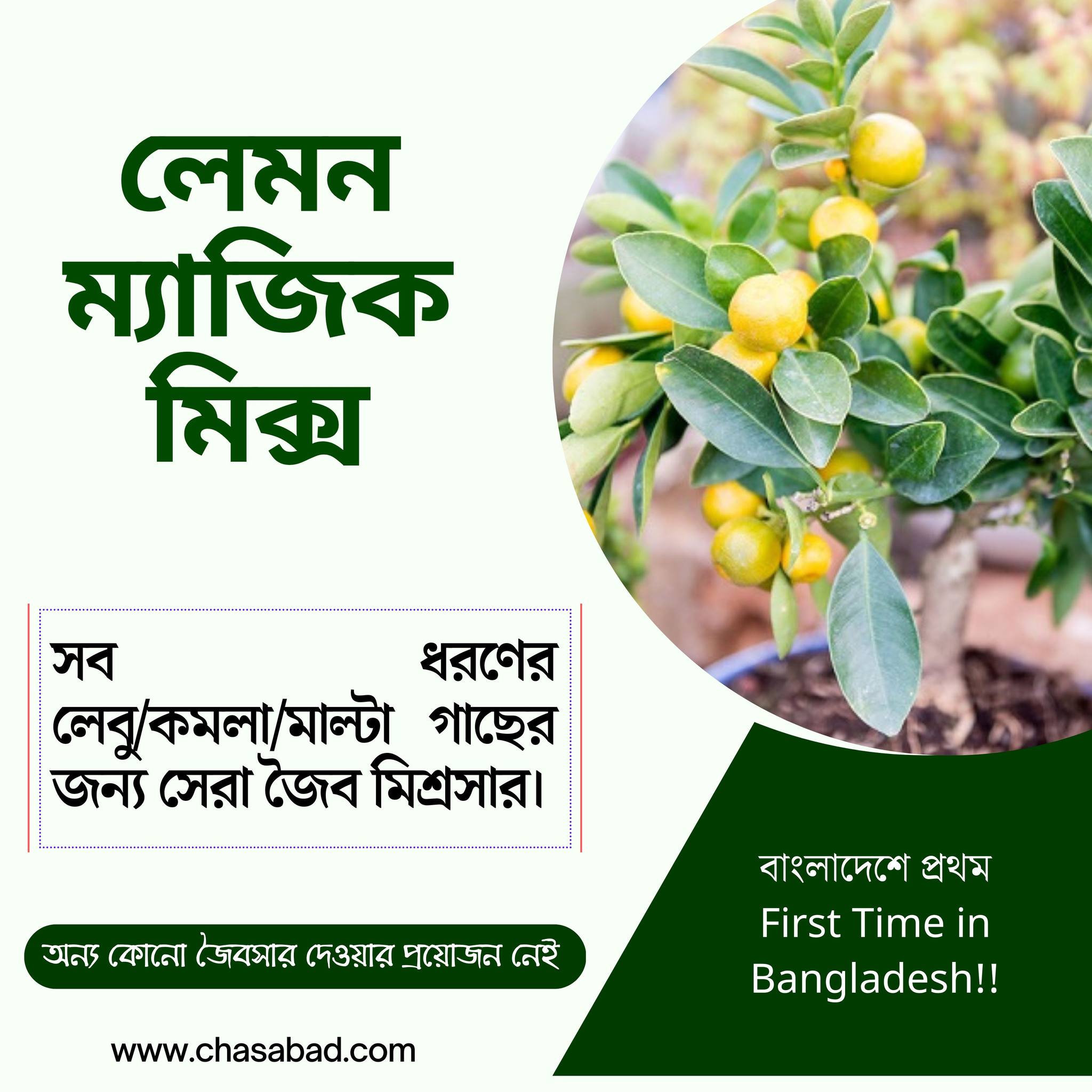 লেমন ম্যাজিক মিক্স - ২ কেজি