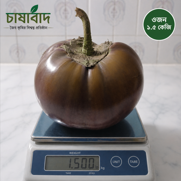 অরিজিনাল তাল বেগুন
