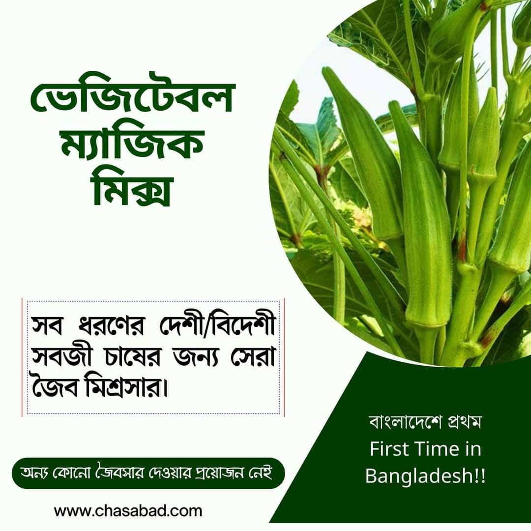 ভেজিটেবল ম্যাজিক মিক্স - ২ কেজি